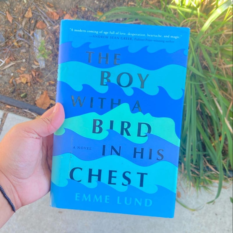 The Boy with a Bird in His Chest