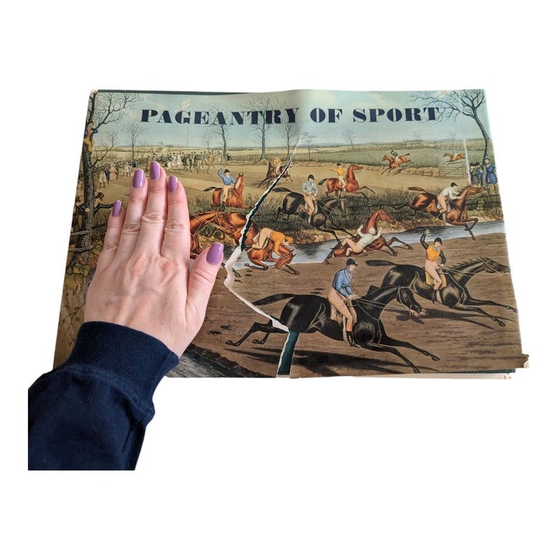 Pageantry of Sport