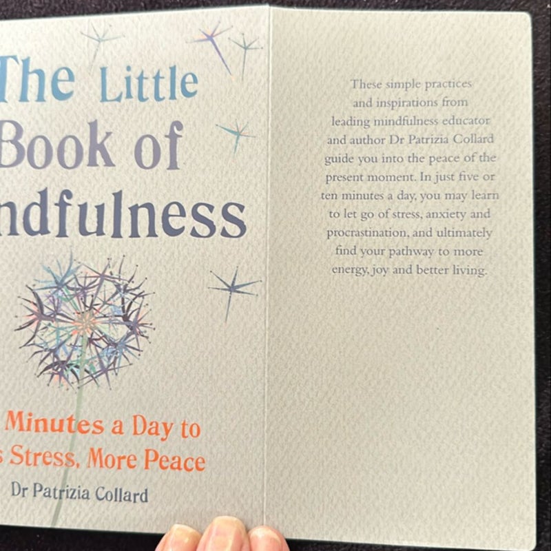 Little Book of Mindfulness