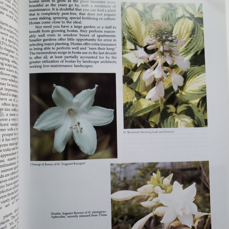 The Hosta Book