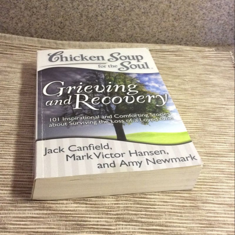 Chicken Soup for the Soul: Grieving and Recovery