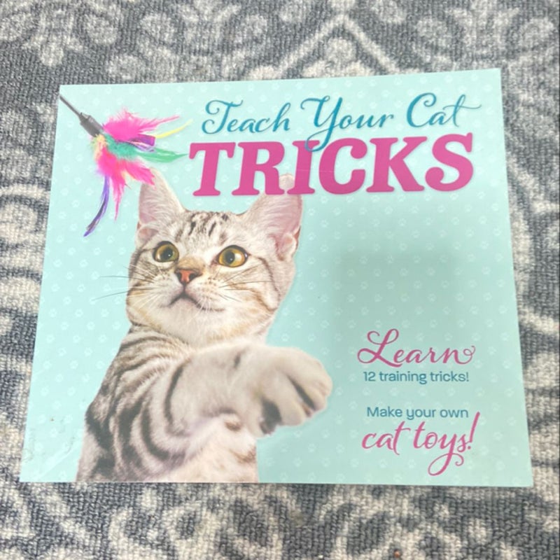 Teach your cat tricks