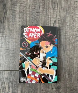 Demon Slayer: Kimetsu No Yaiba, Vol. 1