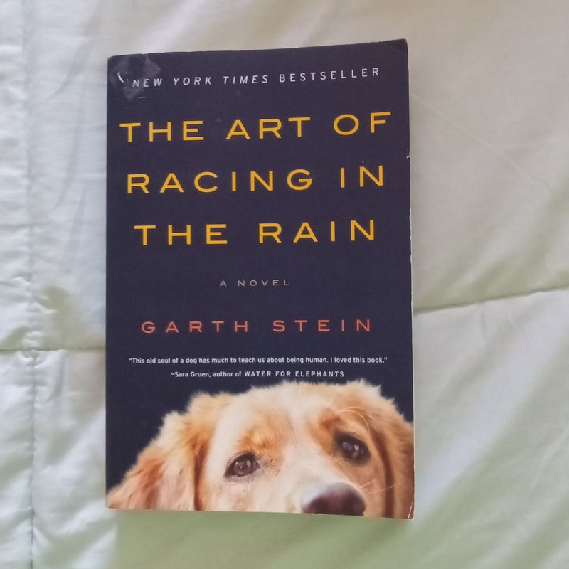 The Art of Racing in the Rain