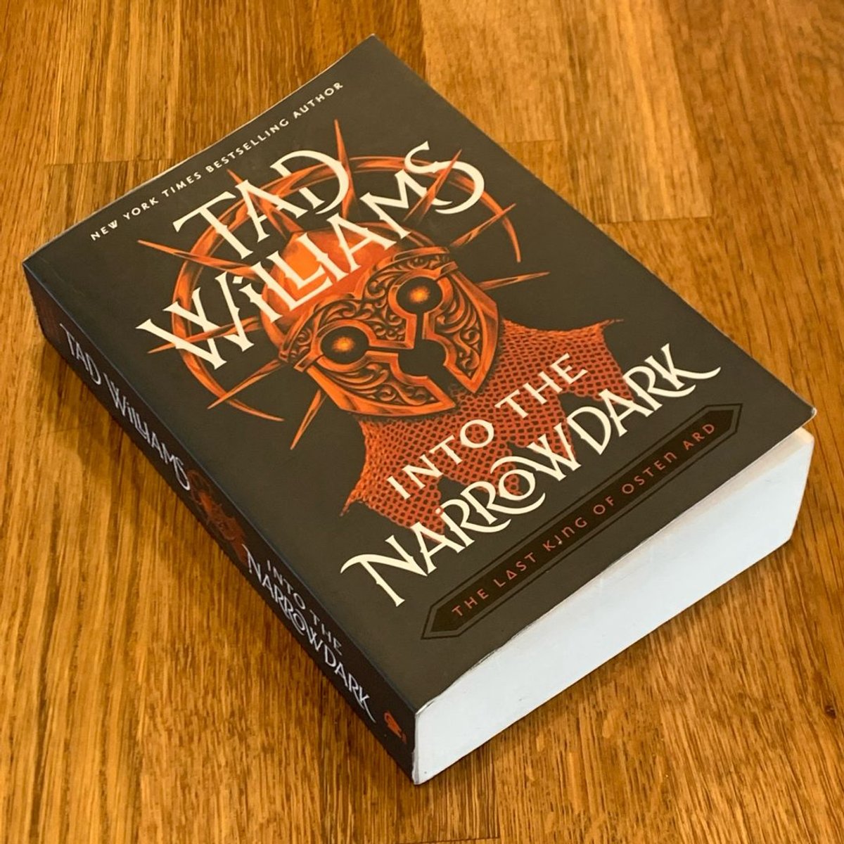 Into the Narrowdark by Tad Williams