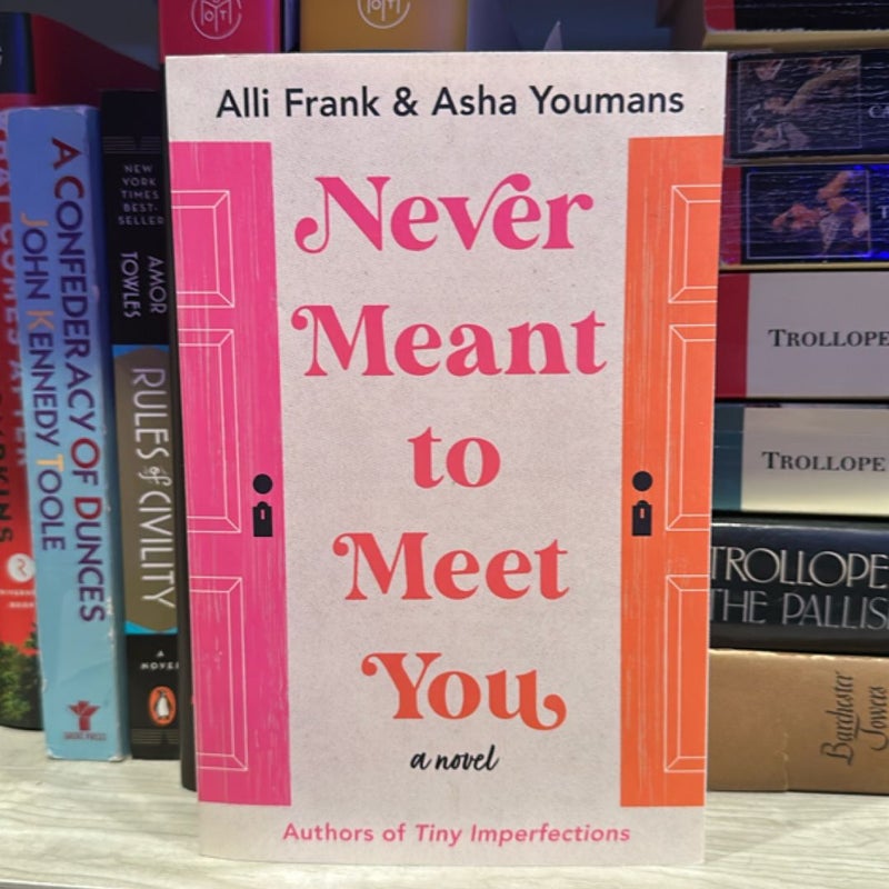 Never Meant to Meet You