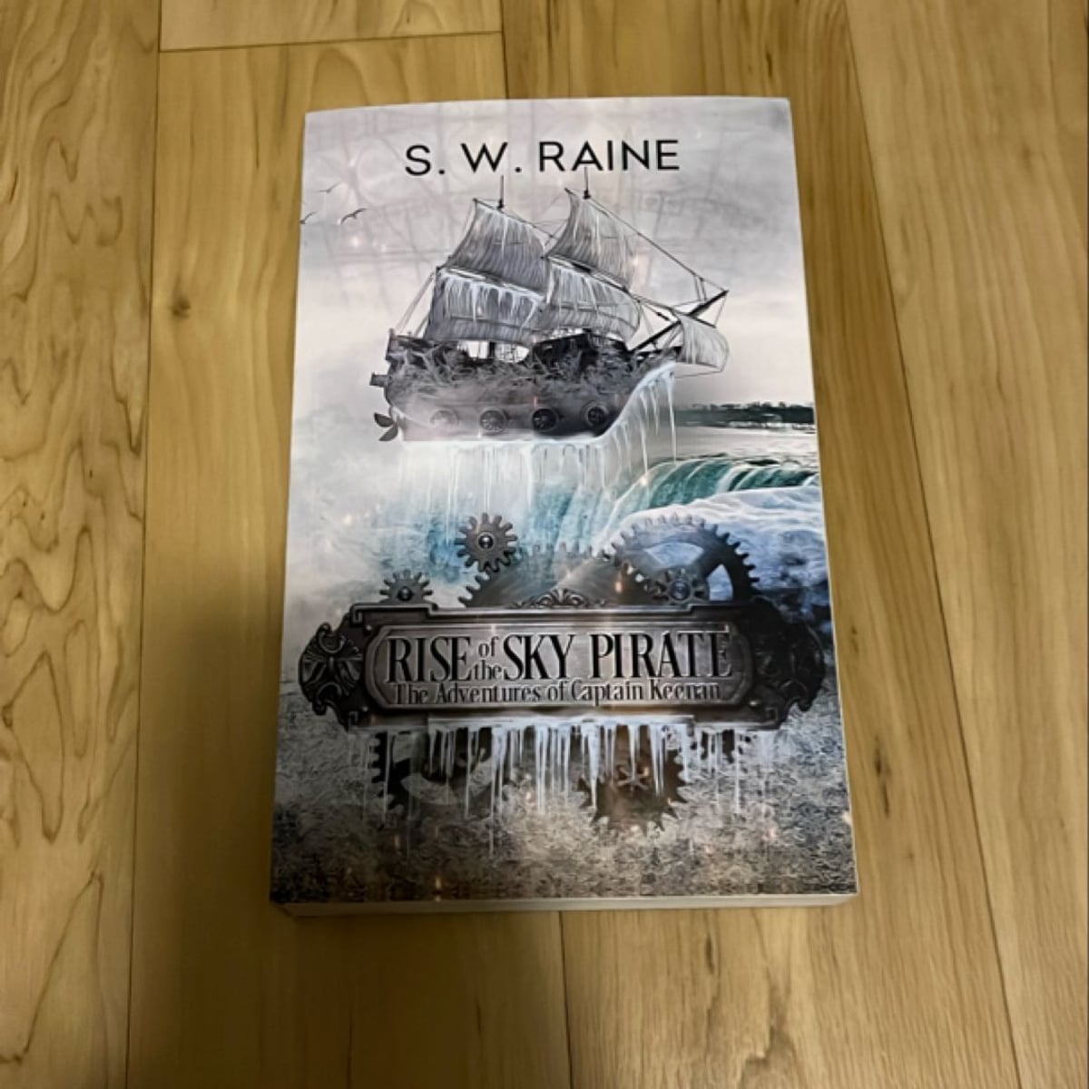 Rise of the Sky Pirate by S. W. Raine, Paperback | Pangobooks