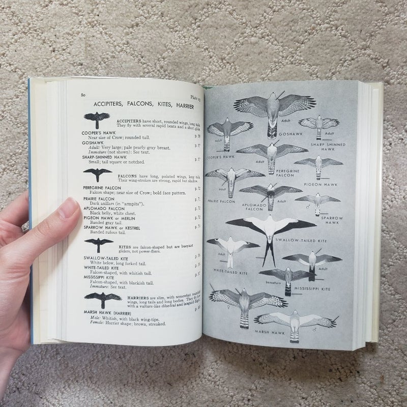A Field Guide to the Birds of Texas and Adjacent States (Houghton Mifflin Edition, 1963)