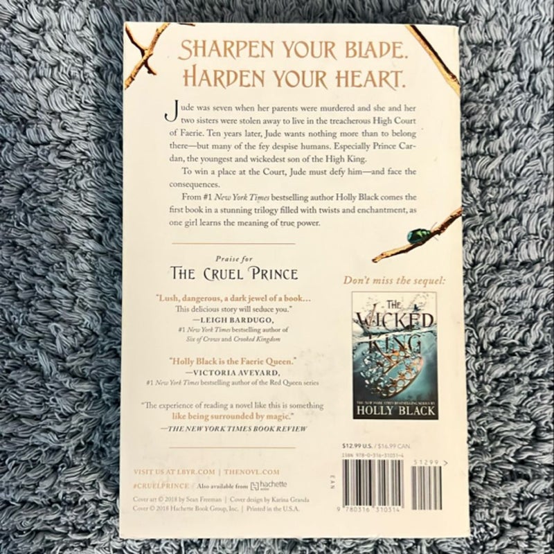 The Cruel Prince
