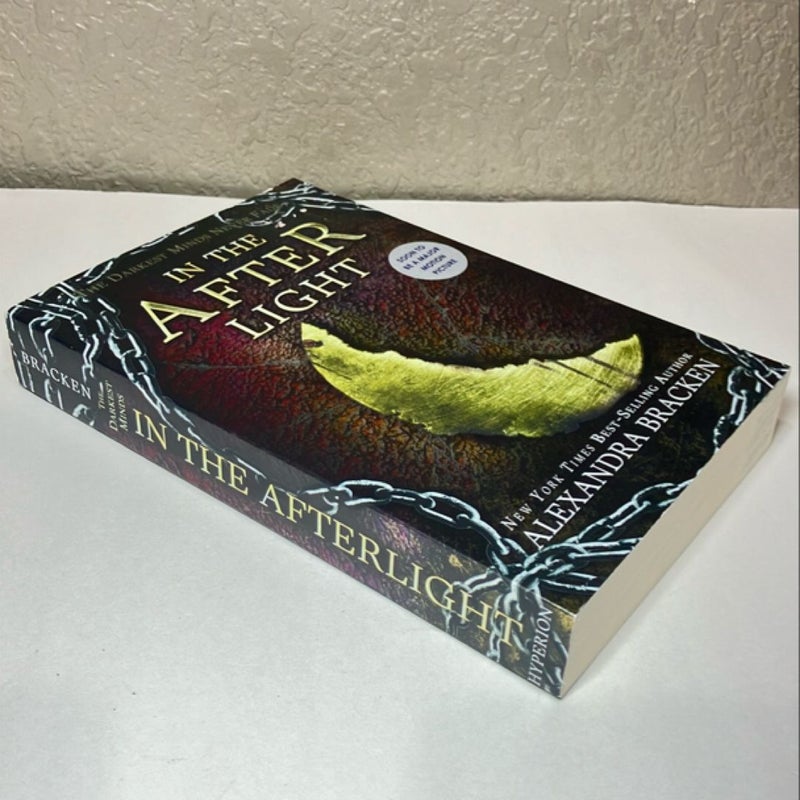 In the Afterlight (a Darkest Minds Novel)