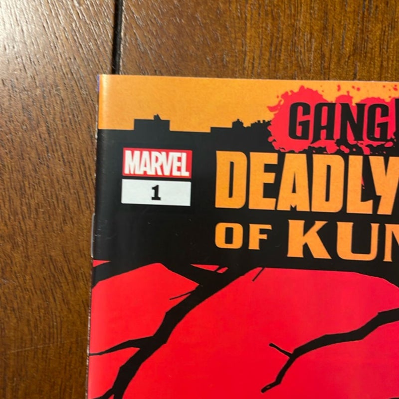 Deadly Hands of Kung Fu: Gang War #1