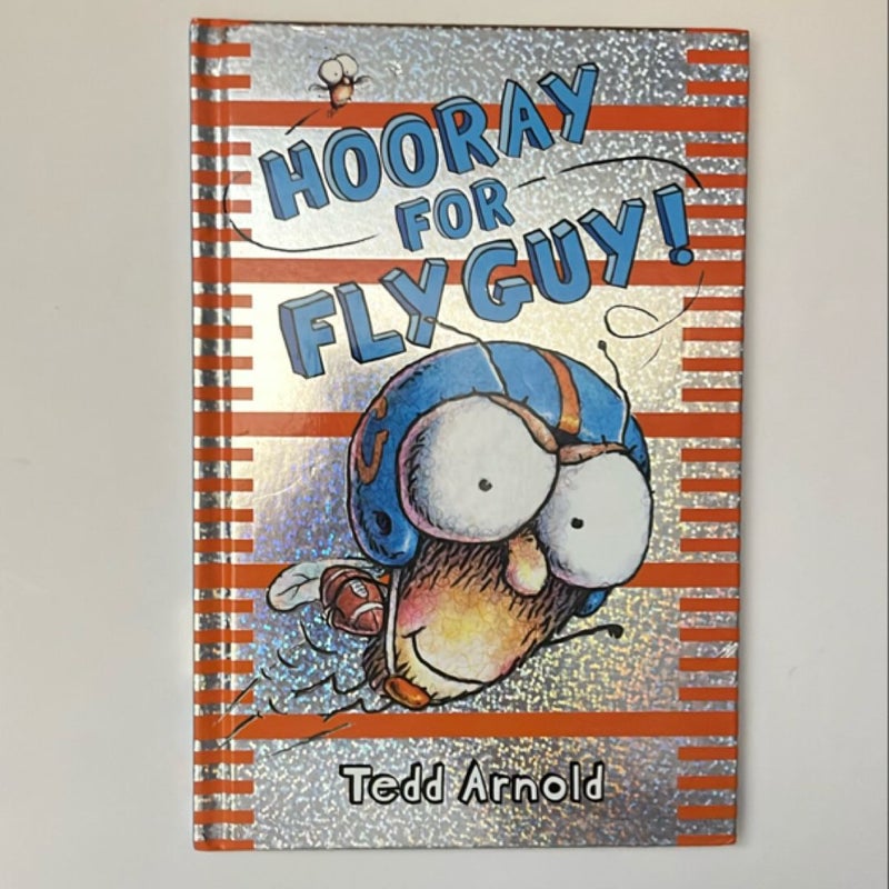 Fly Guy Book Bundle