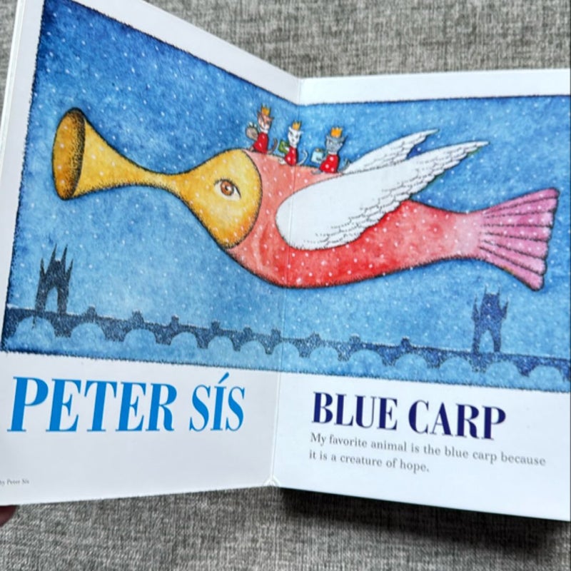 What's Your Favorite Animal? (Board book)