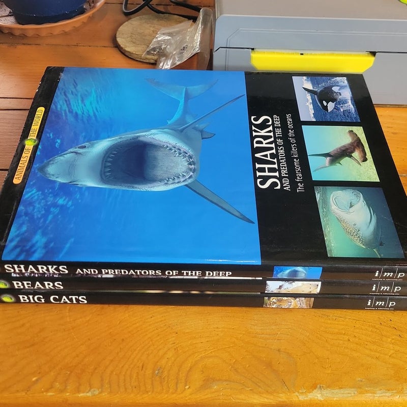 Sharks, big cats, bears