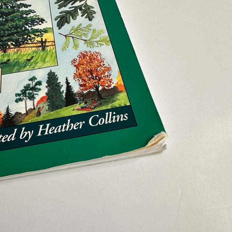 Starting With Nature: Plant, Bird, Tree, Bug book bundle