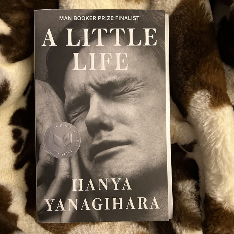 A Little Life by Hanya Yanagihara – Triumph Of The Now