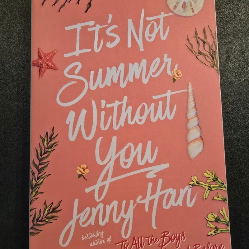 It's Not Summer Without You
