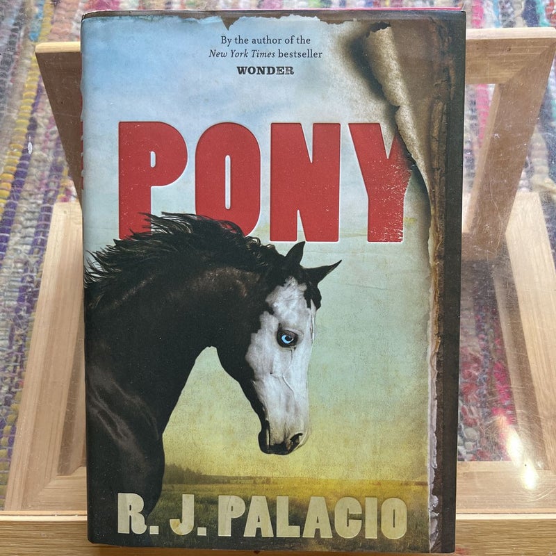 Pony