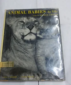 Animal Babies