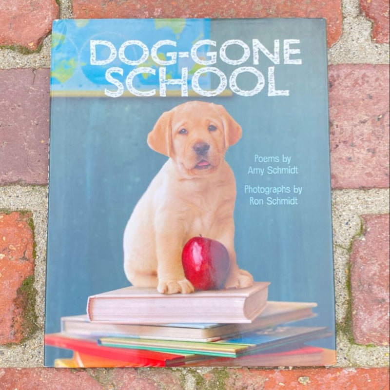 Dog-Gone School