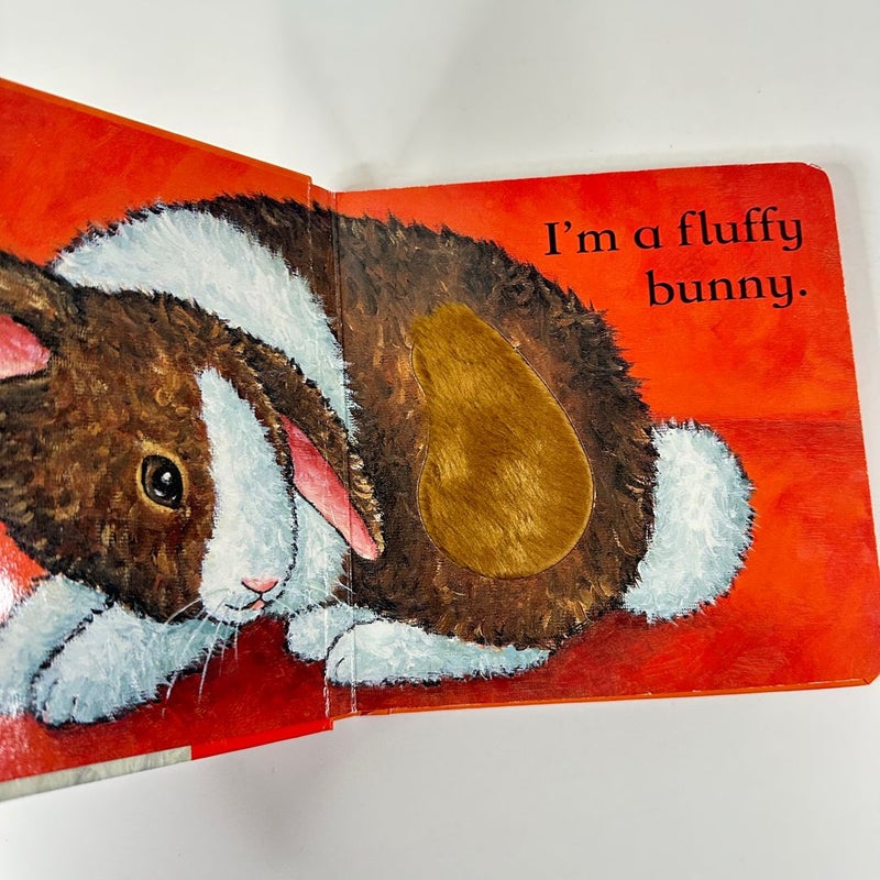 Touch the Bunny, Touch and Feel