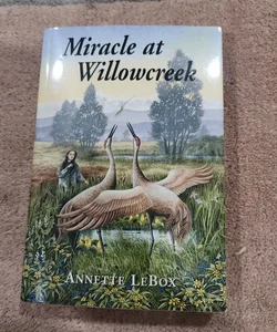Miracle at Willowcreek