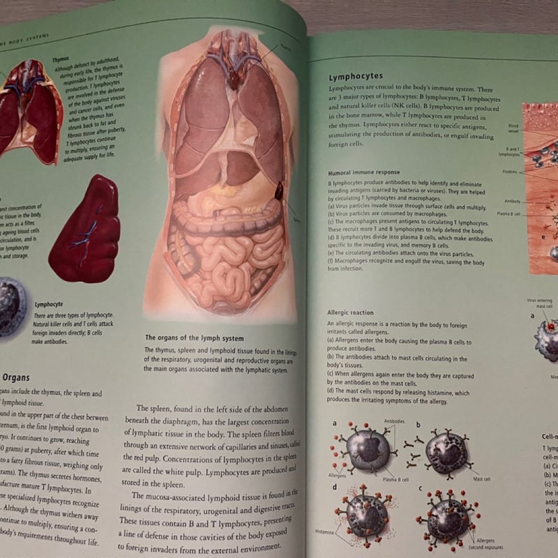 洋書 Body Atlas (Vietnamese book) 洋書 Body Atlas (Vietnamese book) 51PUWzXte8L.jpg