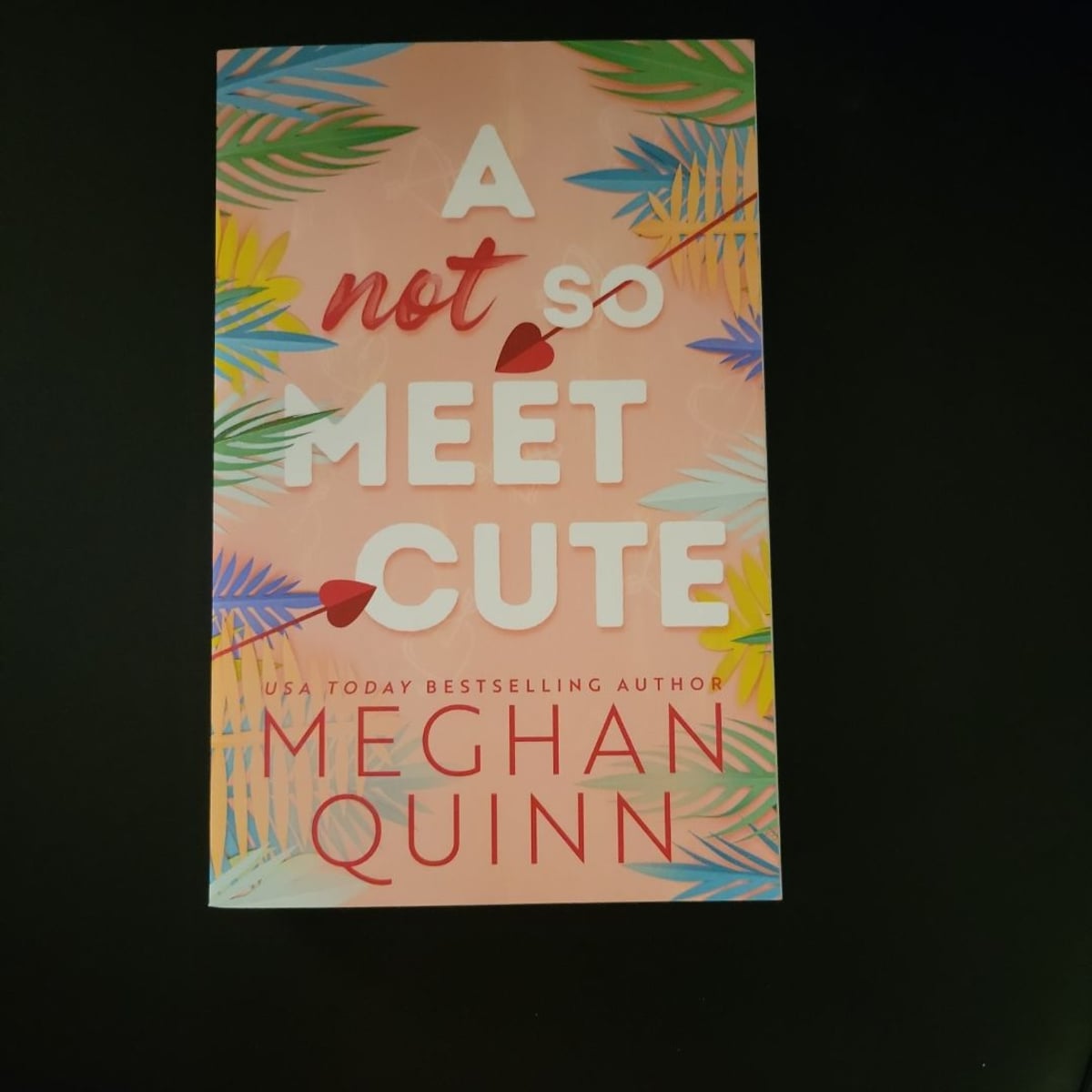 A Not So Meet Cute by Meghan Quinn, Paperback Pangobooks
