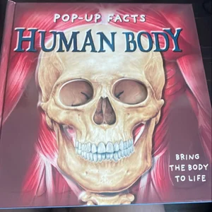 Human Body