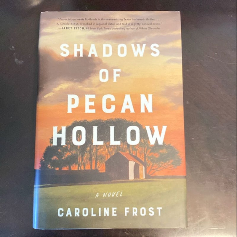 Shadows of Pecan Hollow