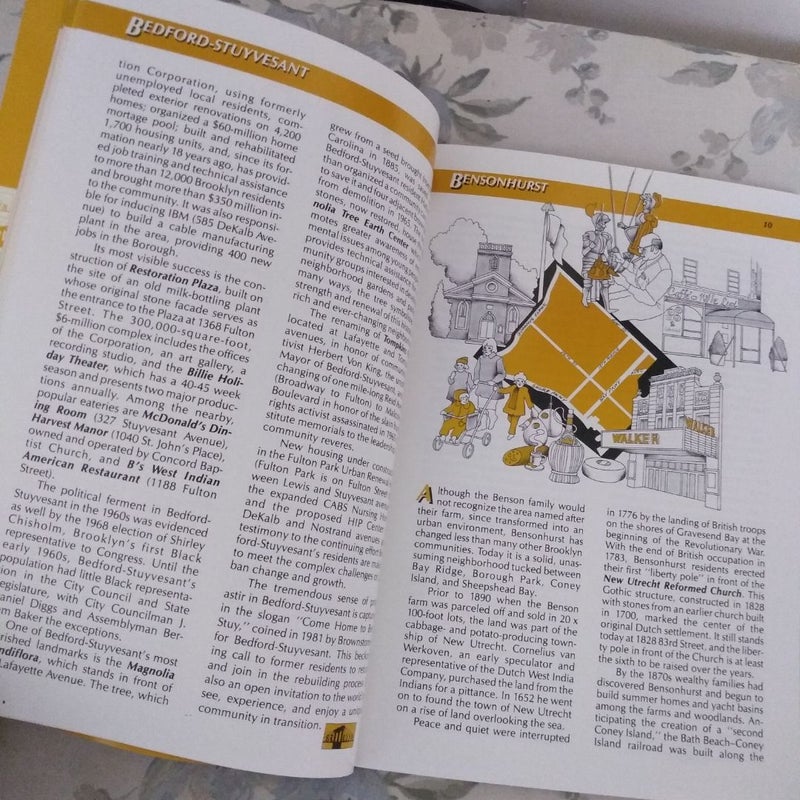 Brooklyn Neighborhood Book