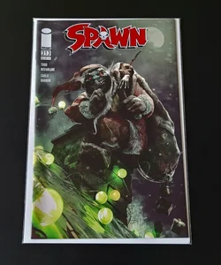 Spawn #313