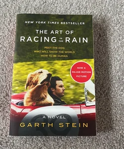 The Art of Racing in the Rain Tie-In