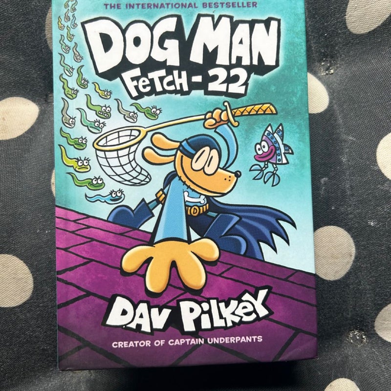 Dog man fetch 22