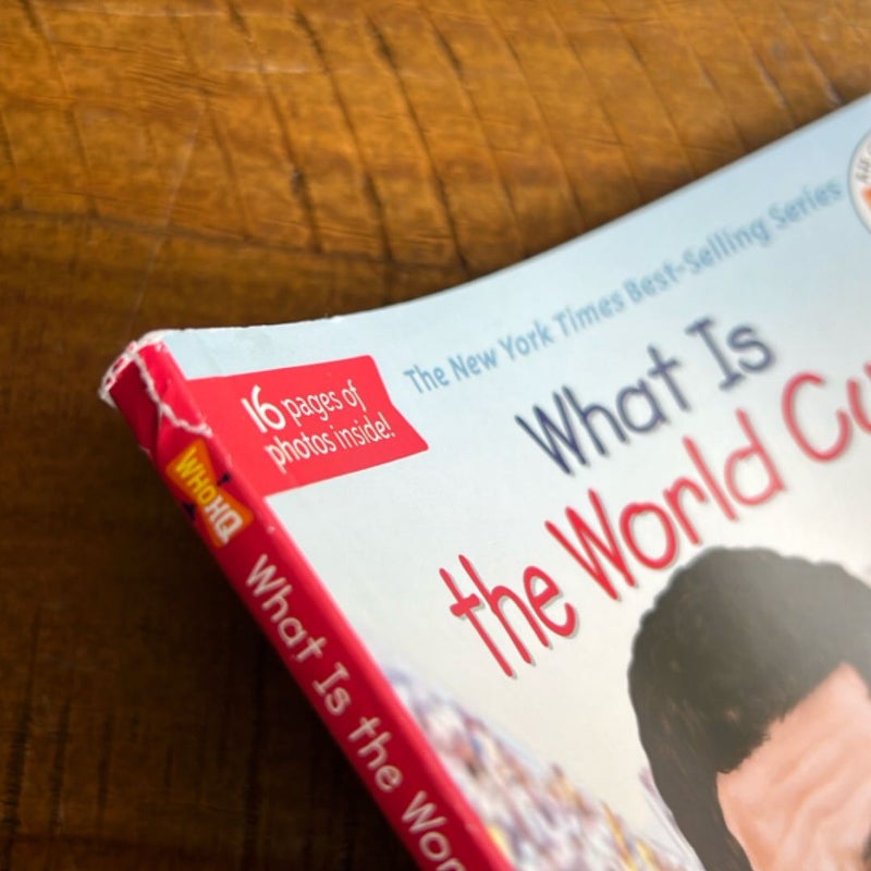 What Is the World Cup?