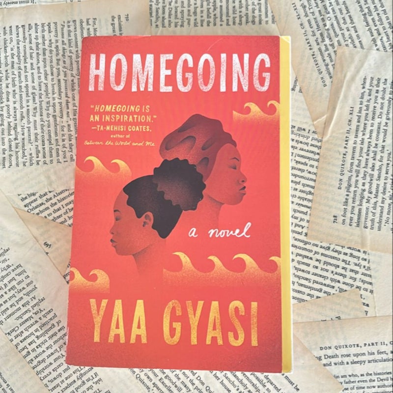 Homegoing