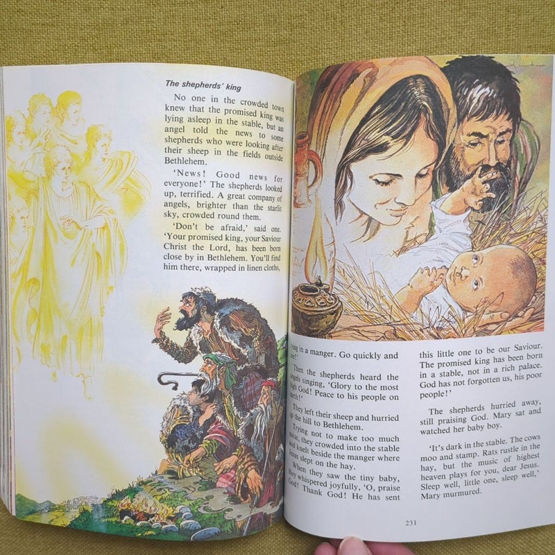 Zondervan Bible Storybook