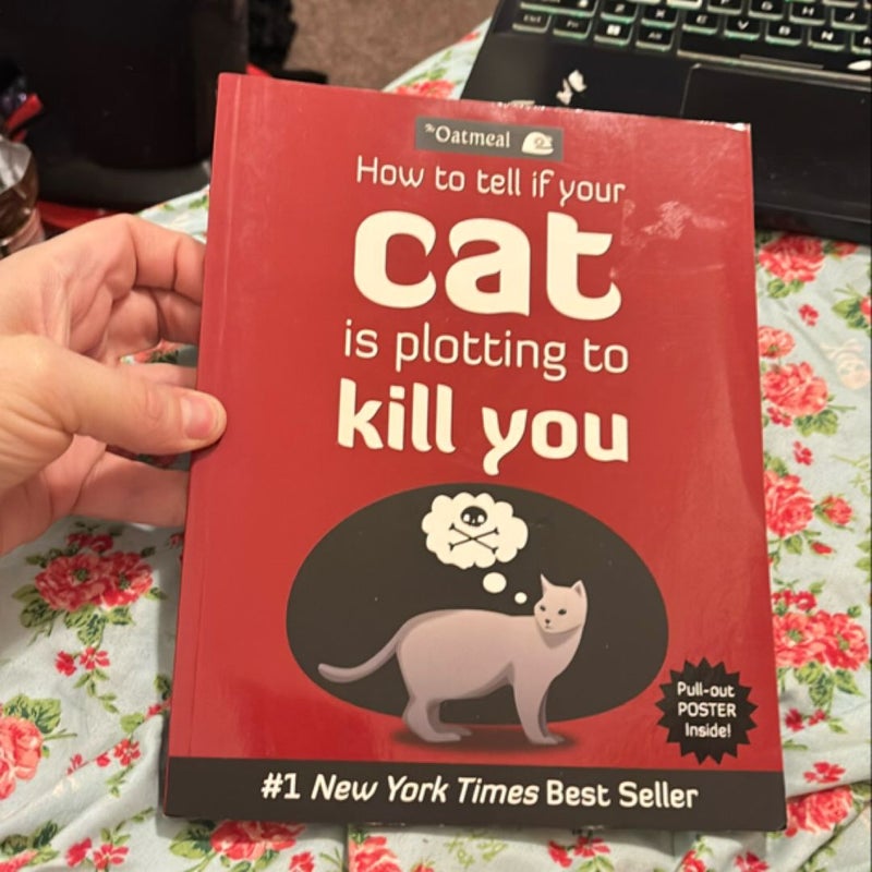 How to Tell If Your Cat Is Plotting to Kill You