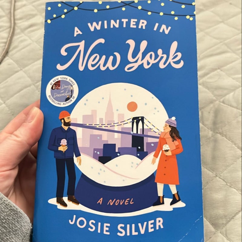 A Winter in New York