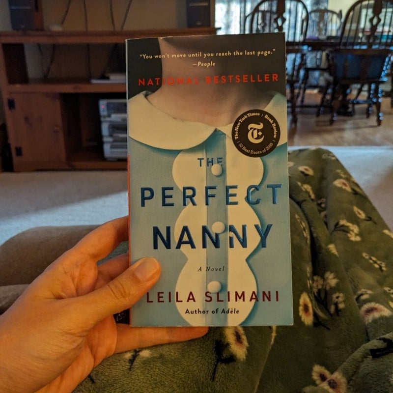 The Perfect Nanny