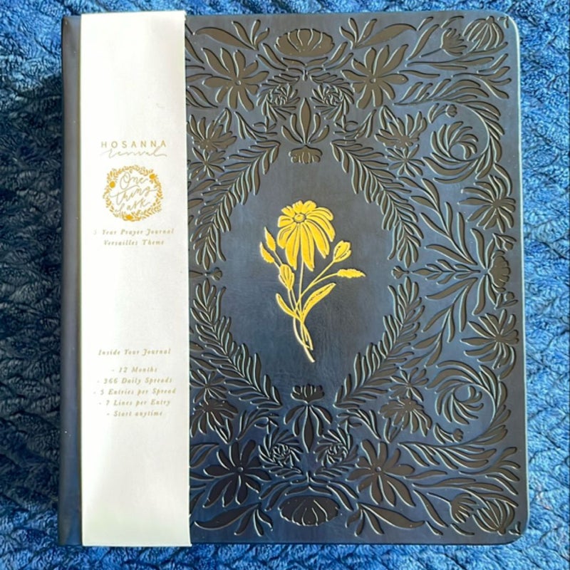 One Thing I Ask 5 Year Prayer Journal