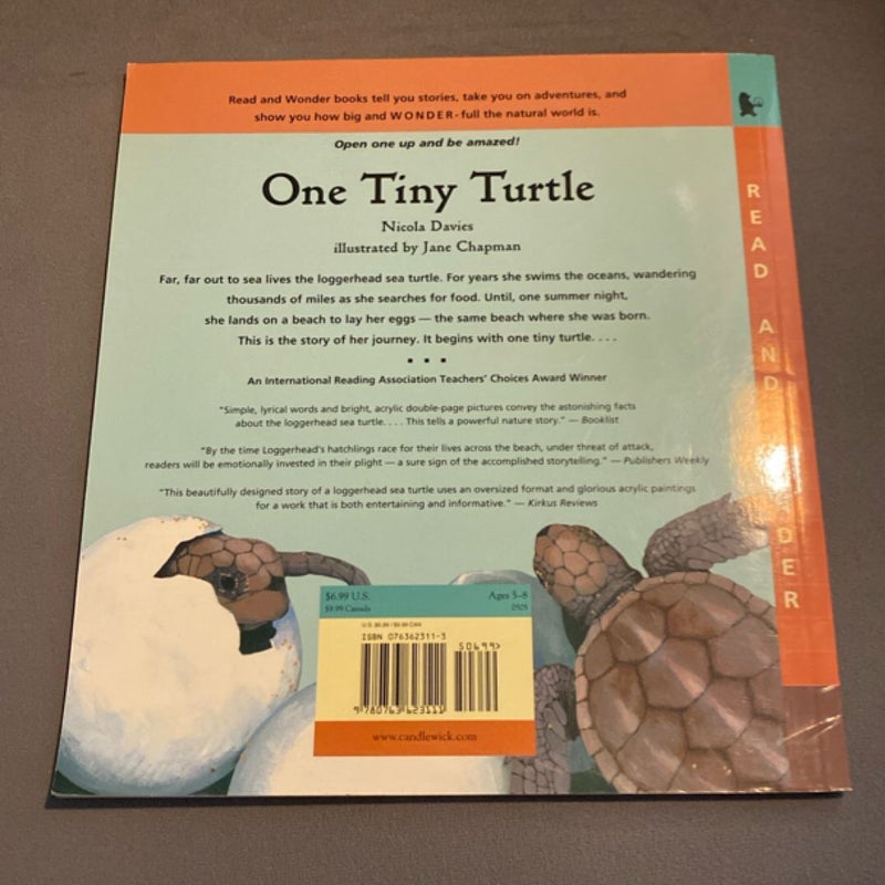 One Tiny Turtle