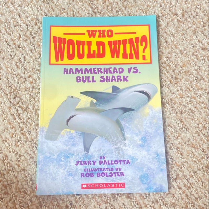 Hammerhead vs. Bull Shark