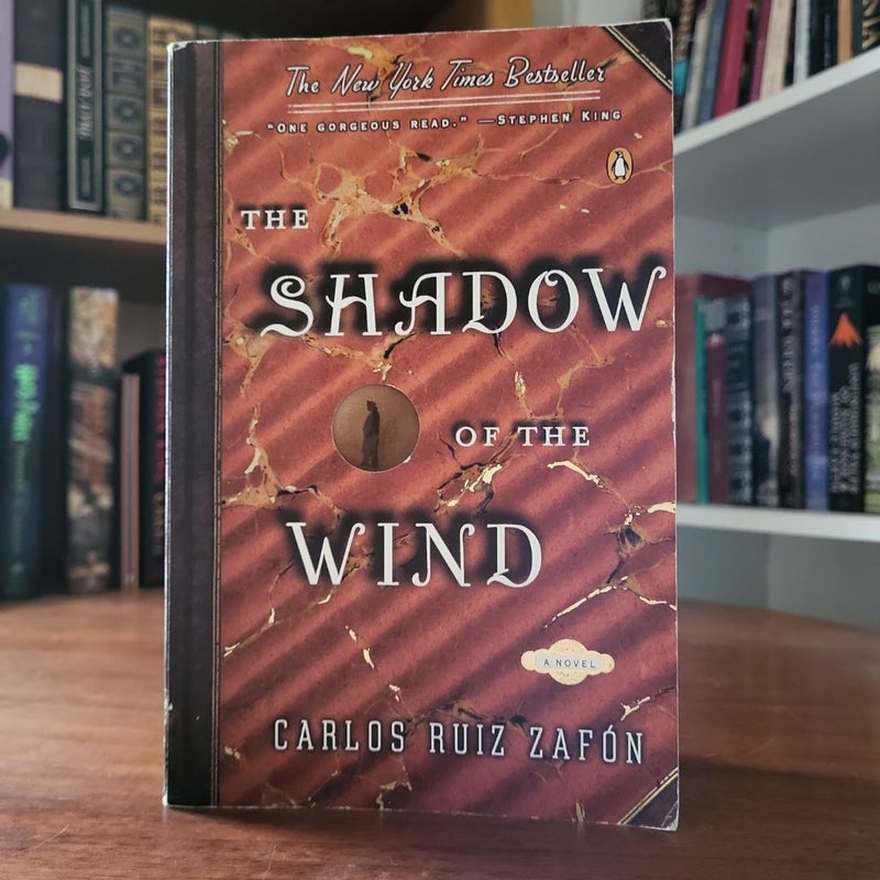 The Shadow of the Wind