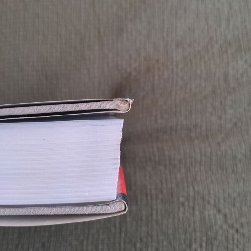 The Logic of Political Survival