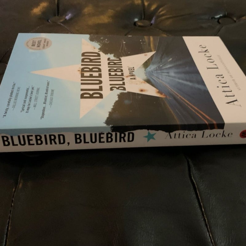 Bluebird, Bluebird