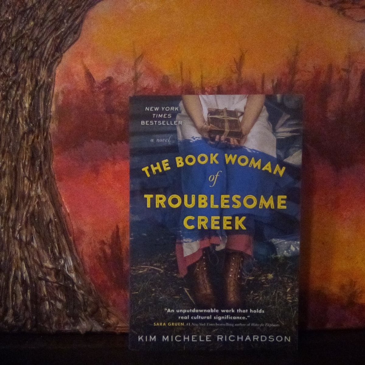 The book woman of troublesome creek by kim michele richardson