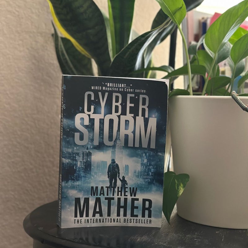 Cyber Storm