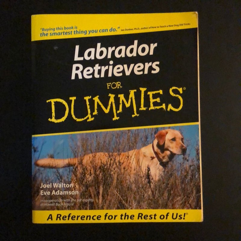 Labrador Retrievers for Dummies