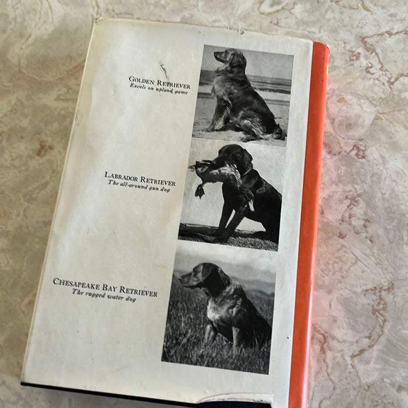 Training Your Retriever